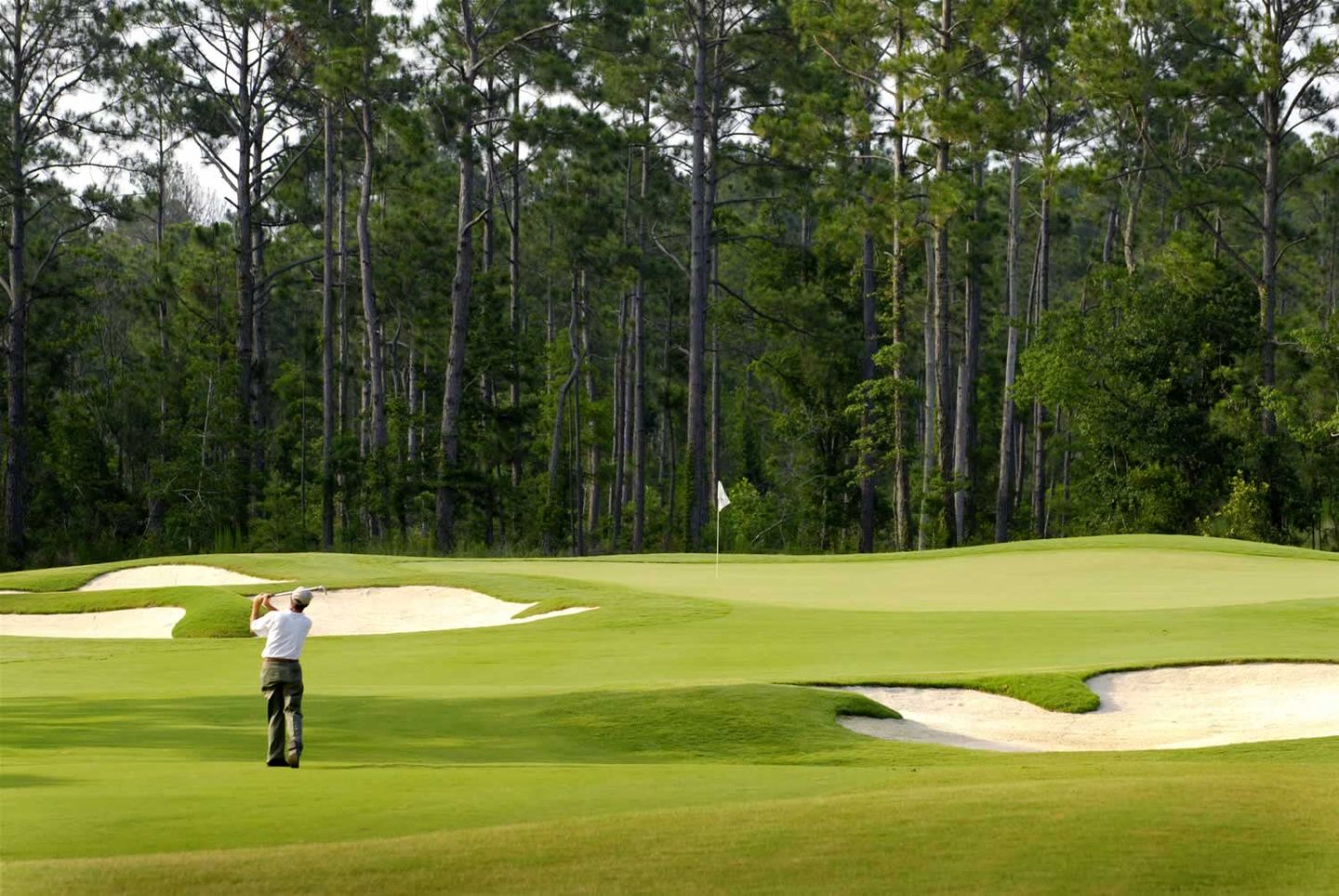 Gulf Shores Golf Club Gulf Shores Golf Guide